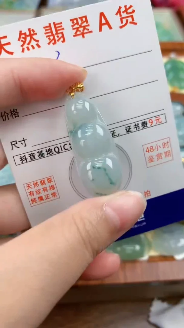 颈饰未镶嵌翡翠天然A货翡翠挂件