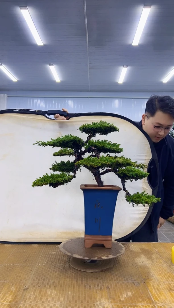 无花朵00000000000000