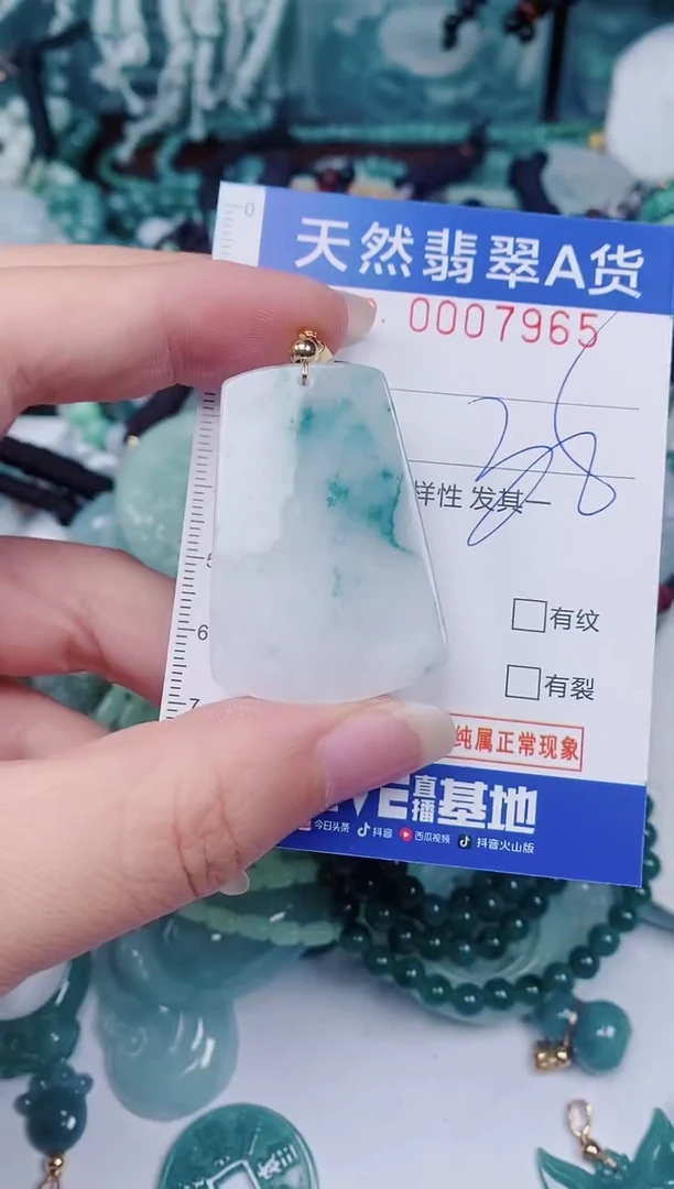 颈饰未镶嵌翡翠00007965