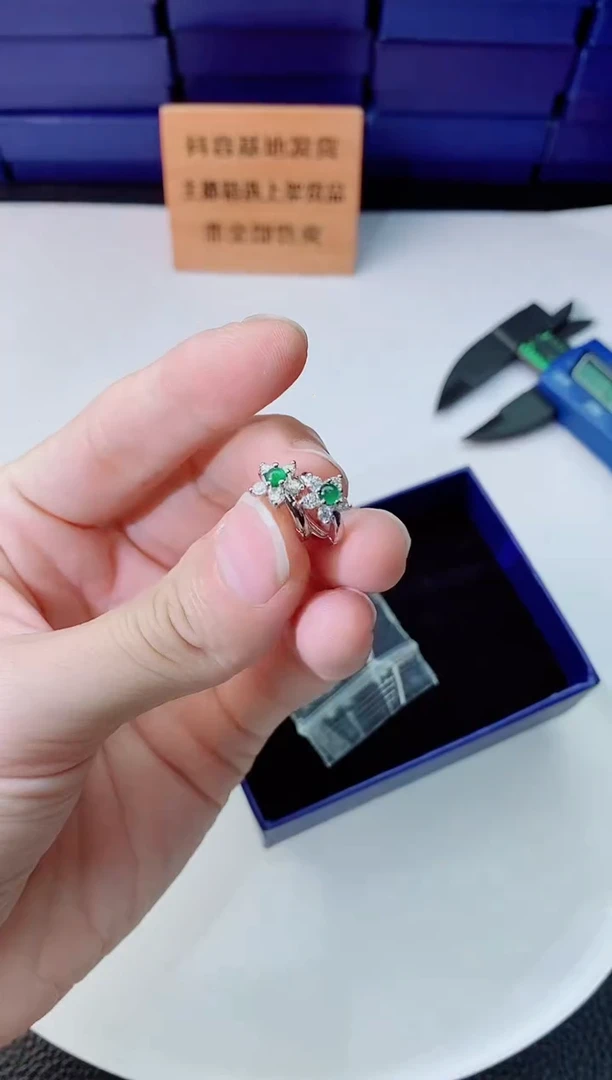 翡翠未镶嵌颈饰1111111