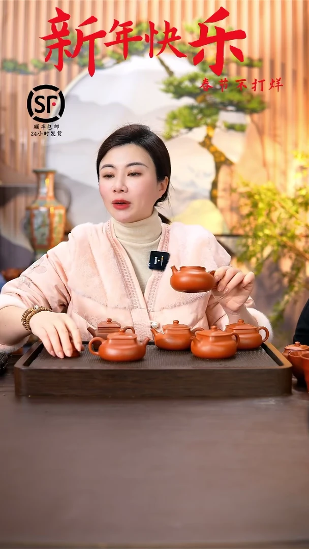 【闪购商品】紫砂茶壶原矿手工紫砂壶1把乾坤