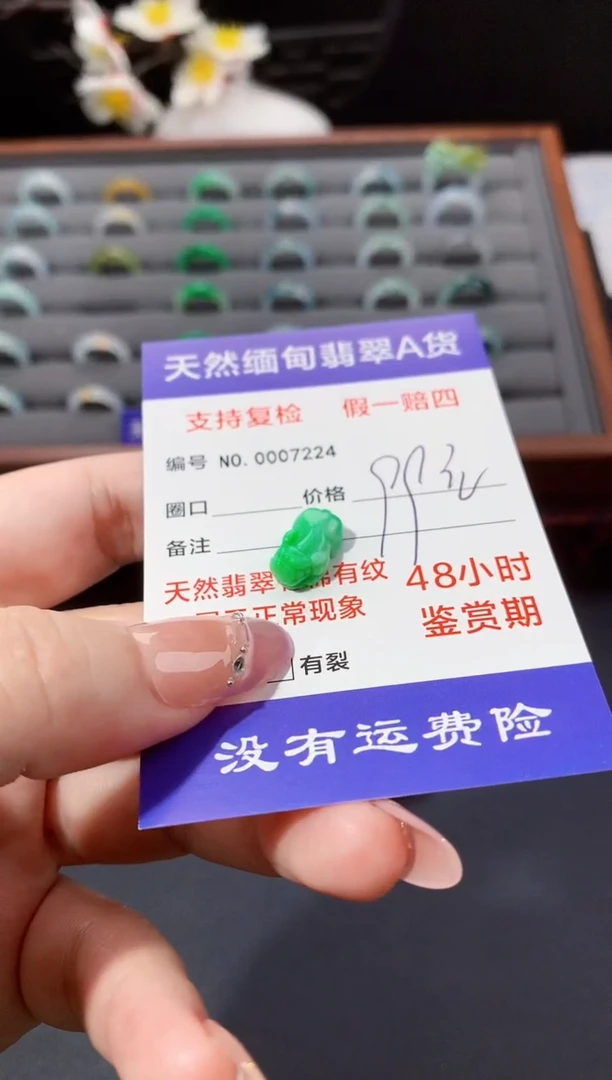 颈饰未镶嵌翡翠貔貅绿