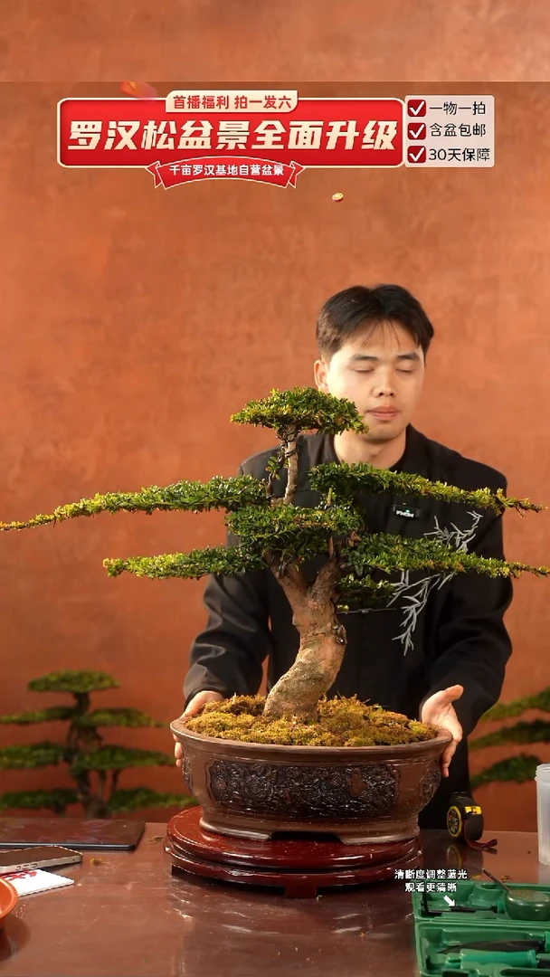 无花朵0000000000000000000