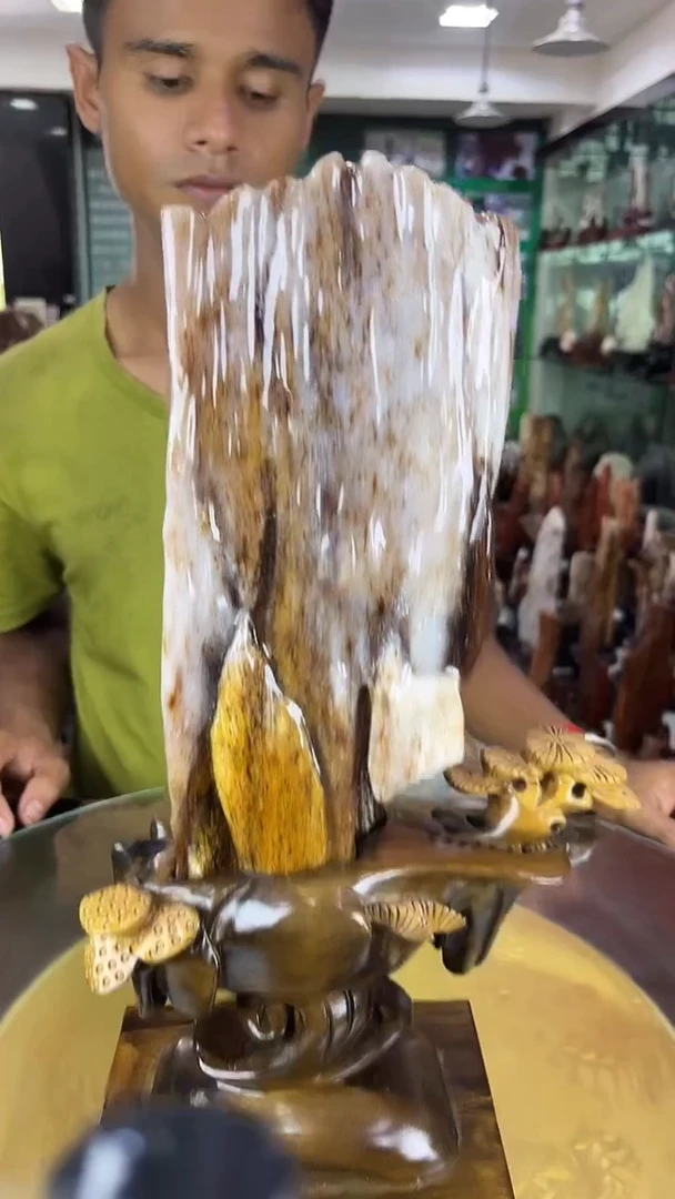 未镶嵌珠宝奇石硅化玉缅甸天然树化玉摆件