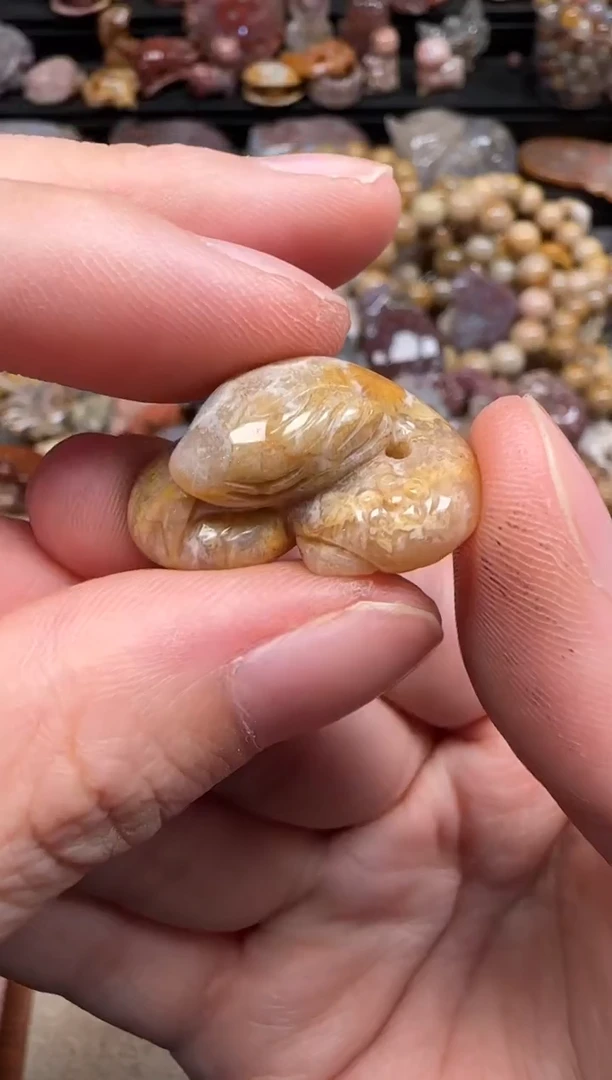 硅化珊瑚（珊瑚玉）未镶嵌颈饰429