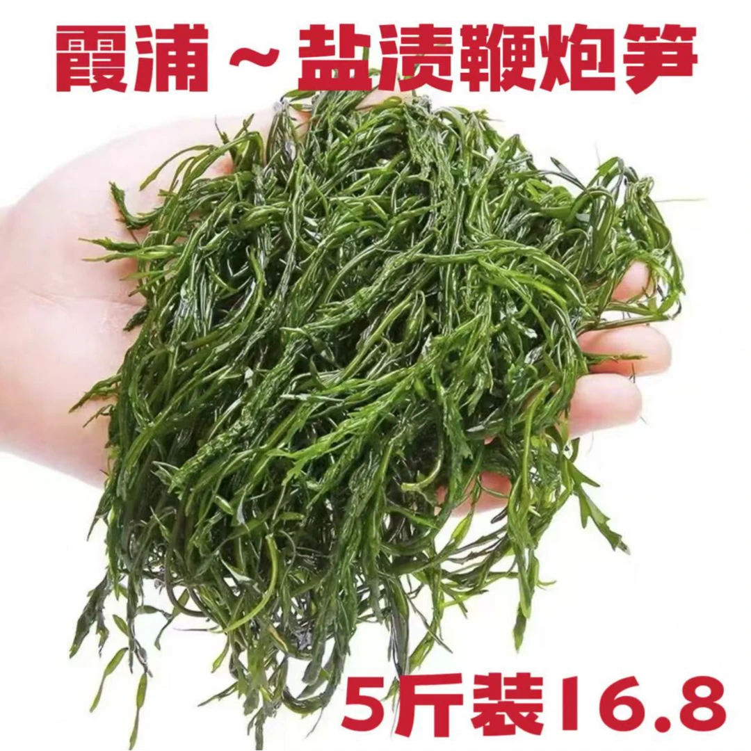 【5斤装泡一大碗】新鲜盐渍鞭炮笋马尾藻长寿菜嫩脆海藻凉拌火锅