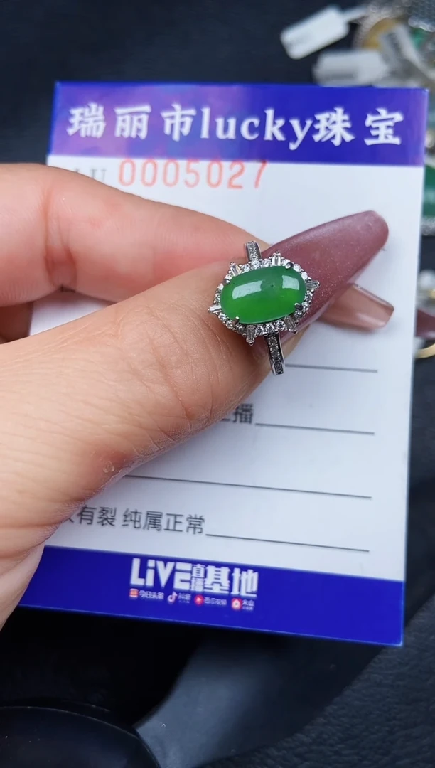 翡翠银S925镶嵌颈饰5027