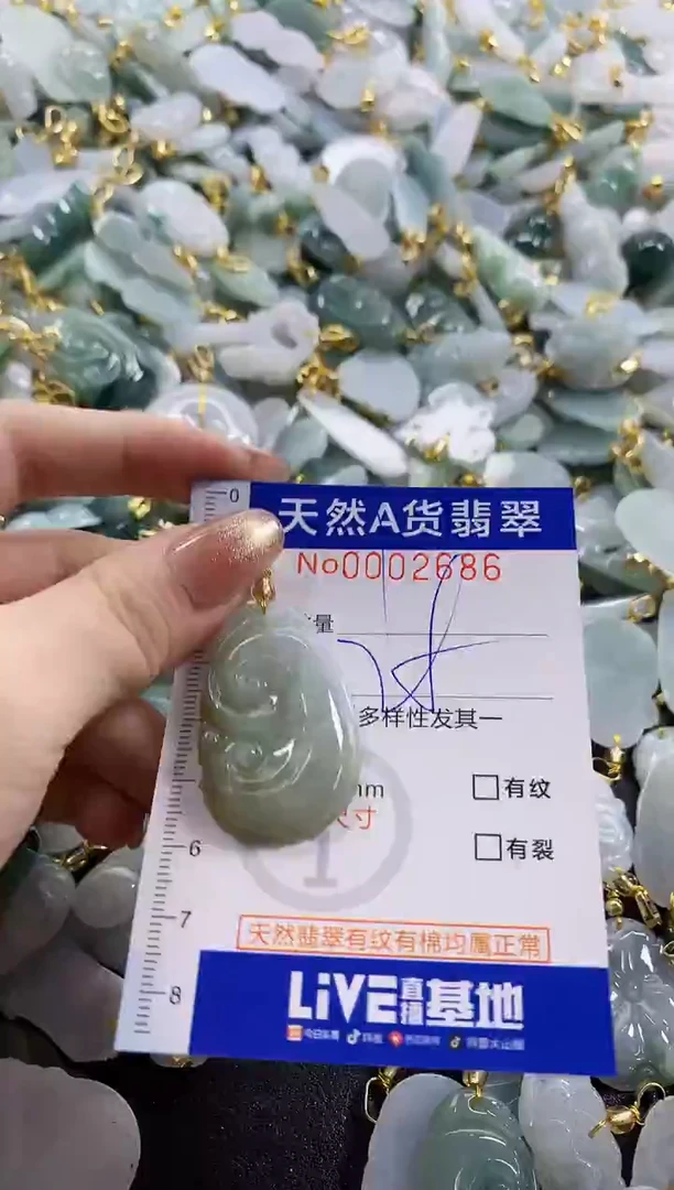 颈饰未镶嵌翡翠天然A货翡翠