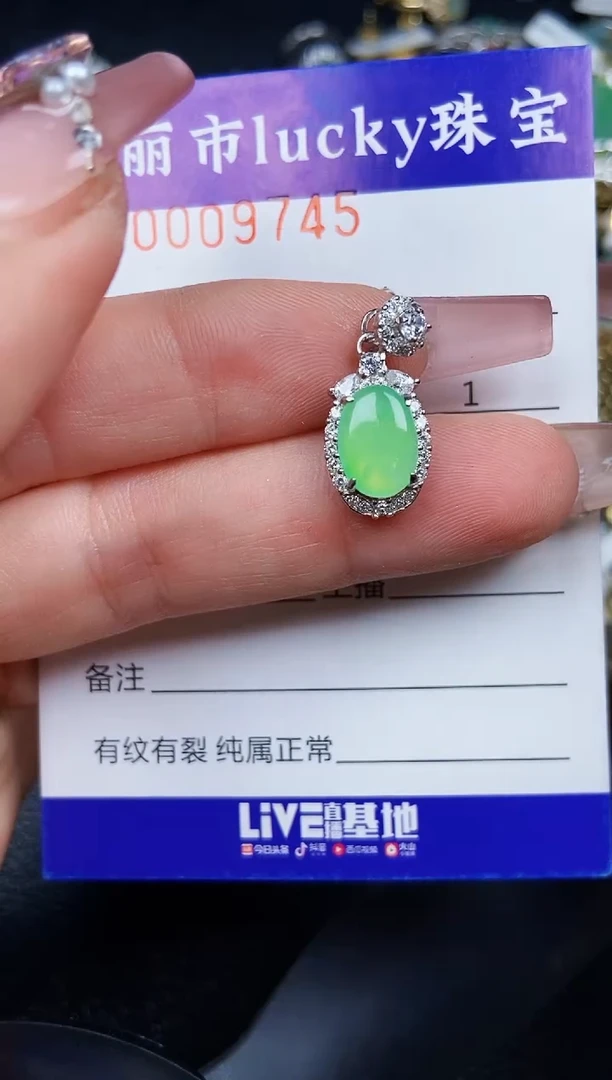 翡翠银S925镶嵌颈饰9745