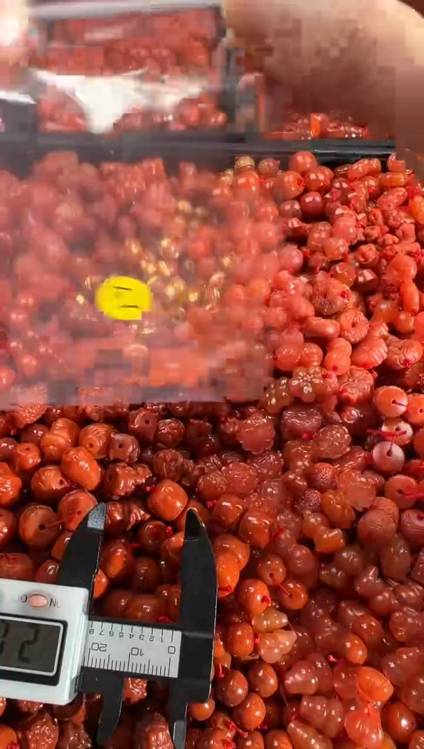 【闪购商品】南红玛瑙颈饰未镶嵌1