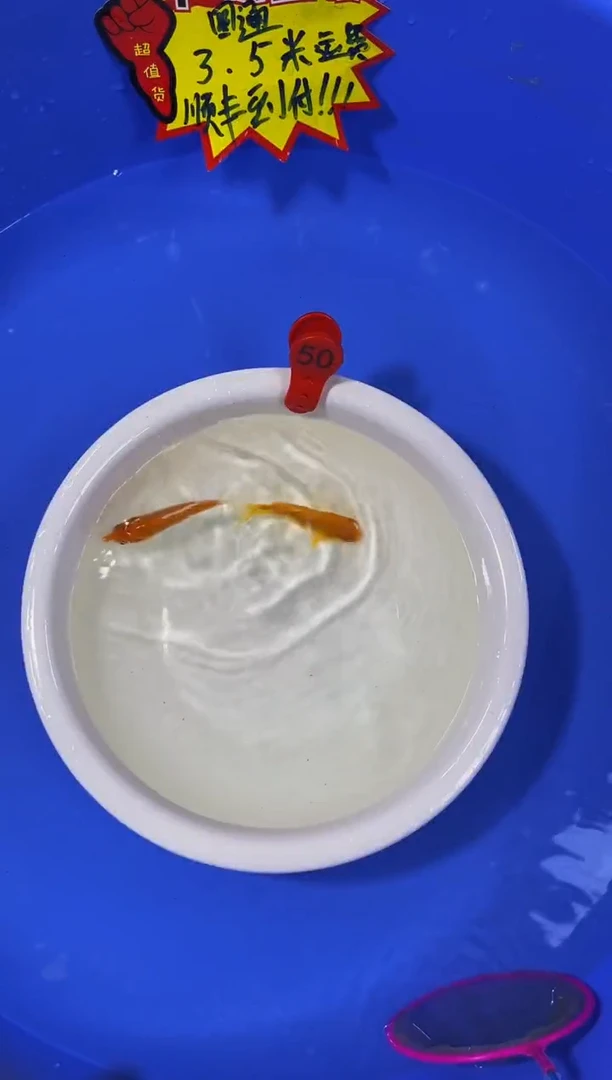 锦鲤活体二号链接