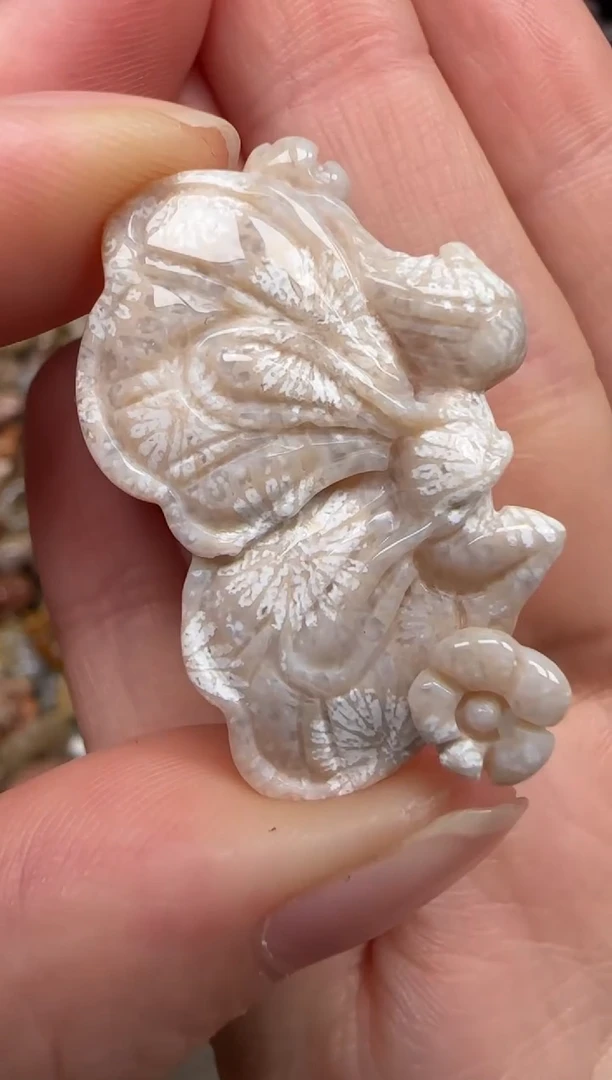 硅化珊瑚（珊瑚玉）未镶嵌颈饰573