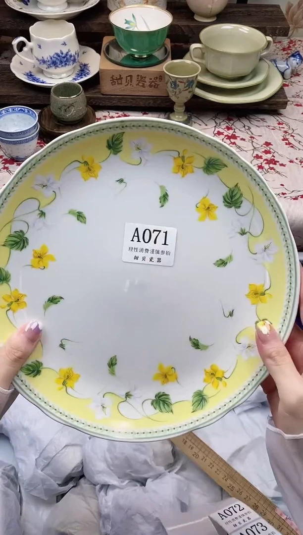 瓷片                A071