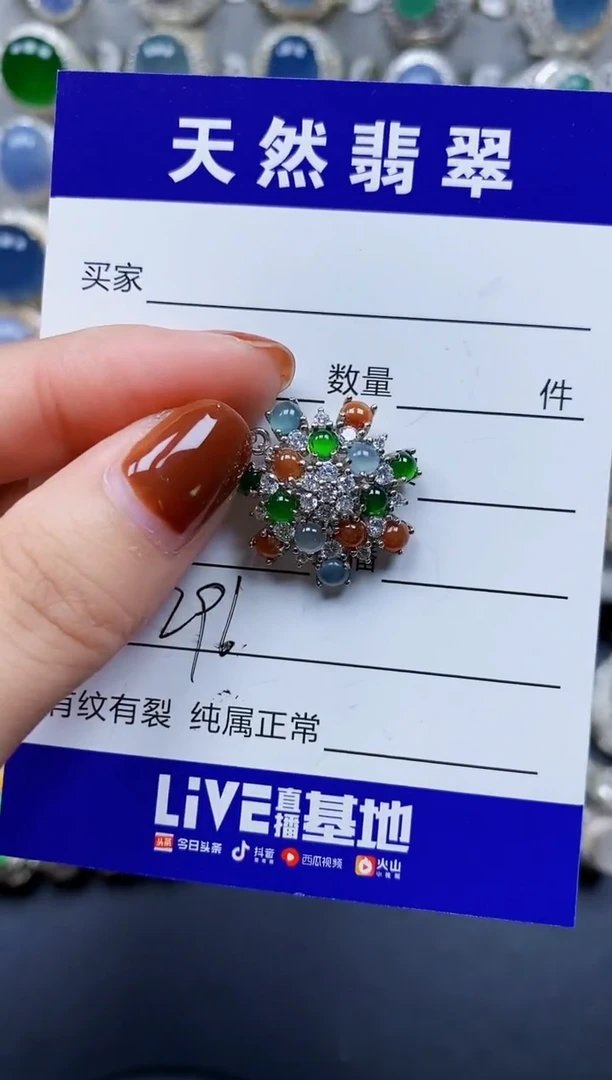 翡翠银S925镶嵌颈饰296