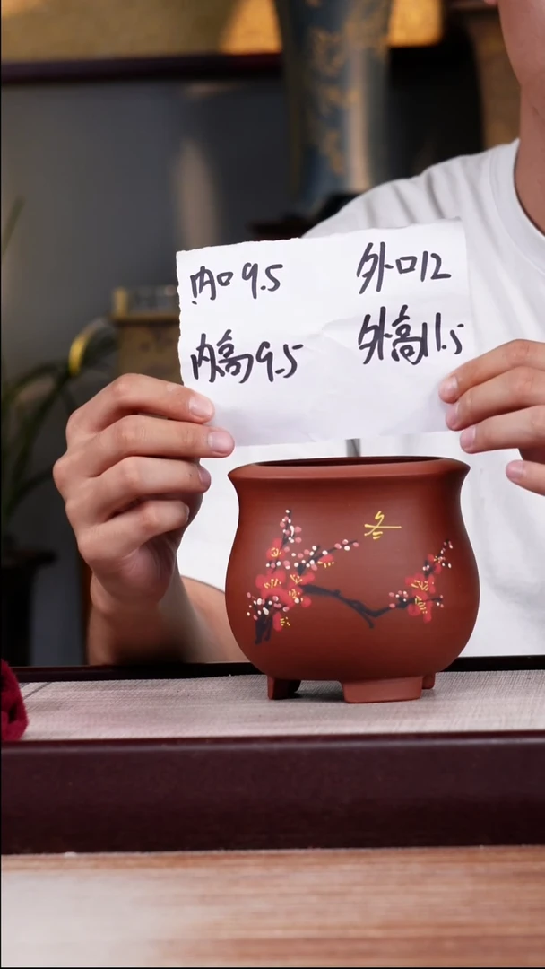 紫砂花盆清水泥冬日腊梅一个带托