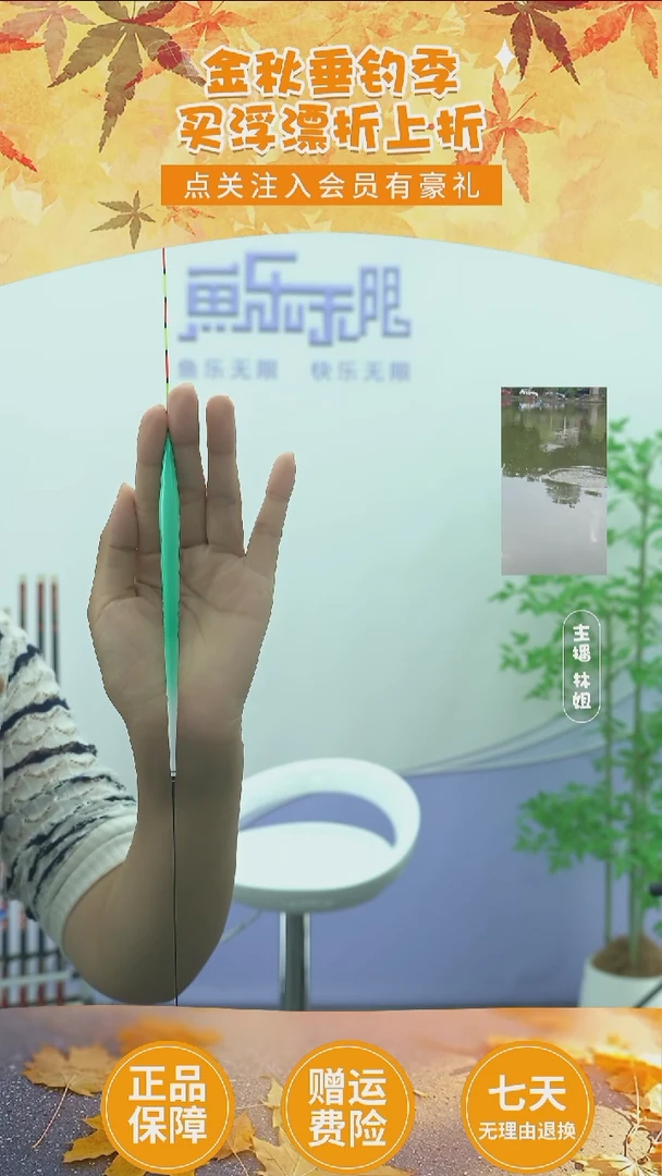 孔雀羽正品蛇年纪念版套装1～3号 送漂盒