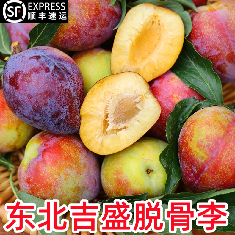 【不甜包退】新鲜吉盛干核牛心李子吉林干碗桃李子东北特产水果包邮