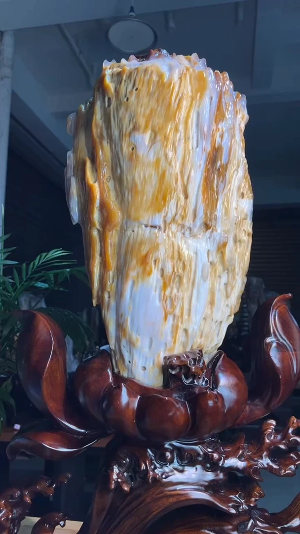 未镶嵌硅化玉（树化玉）珠宝奇石登****者2768