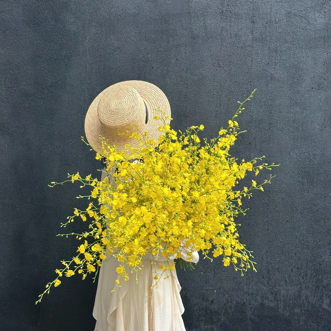 【AB级跳舞兰草花批发】厦门实体鲜花批发高品质花材顺丰京东包邮