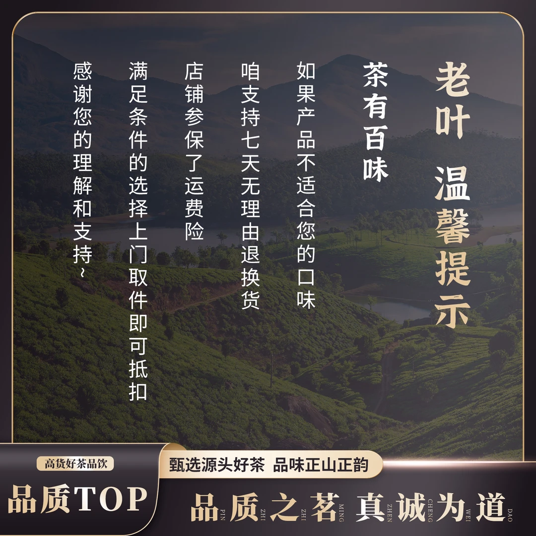 【老叶甄陈皮】柑宝宝茶