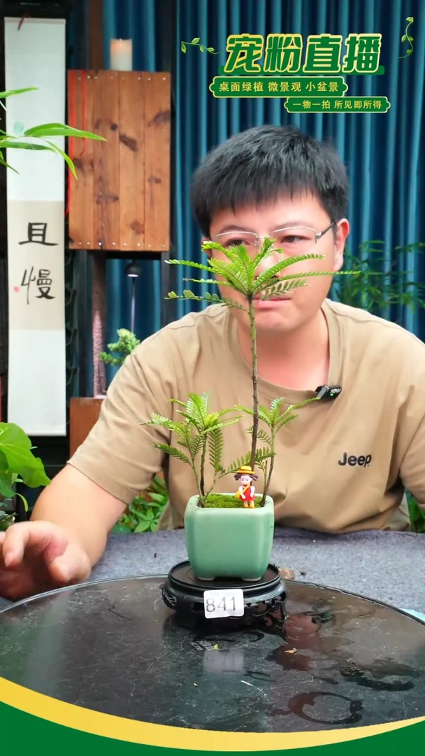 无花朵江****庆苔藓微景观841号