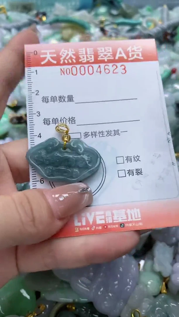 翡翠未镶嵌颈饰闪购0004623