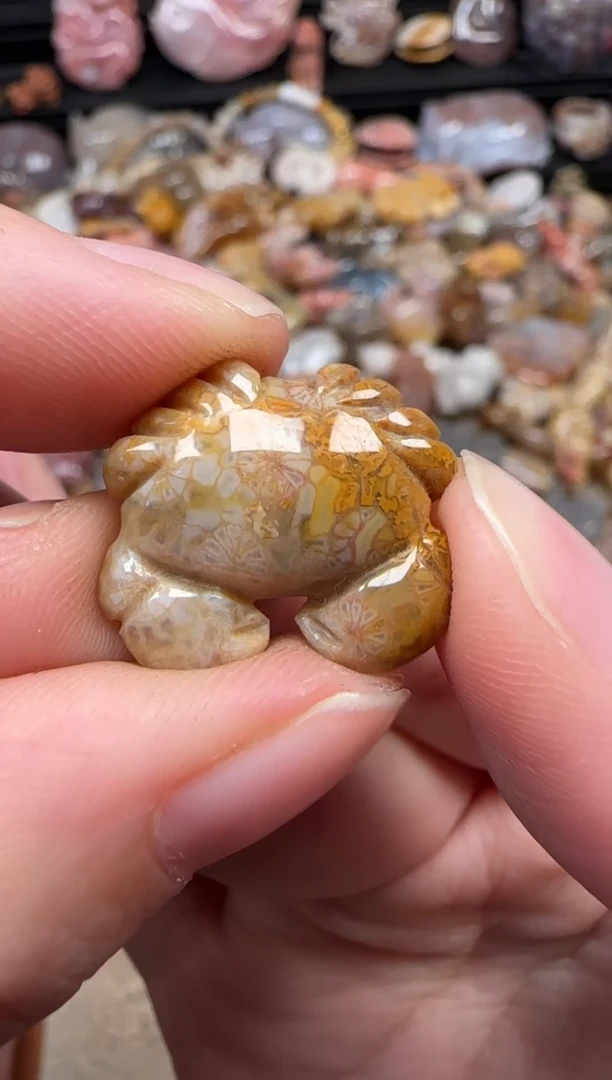 颈饰未镶嵌硅化珊瑚（珊瑚玉）305