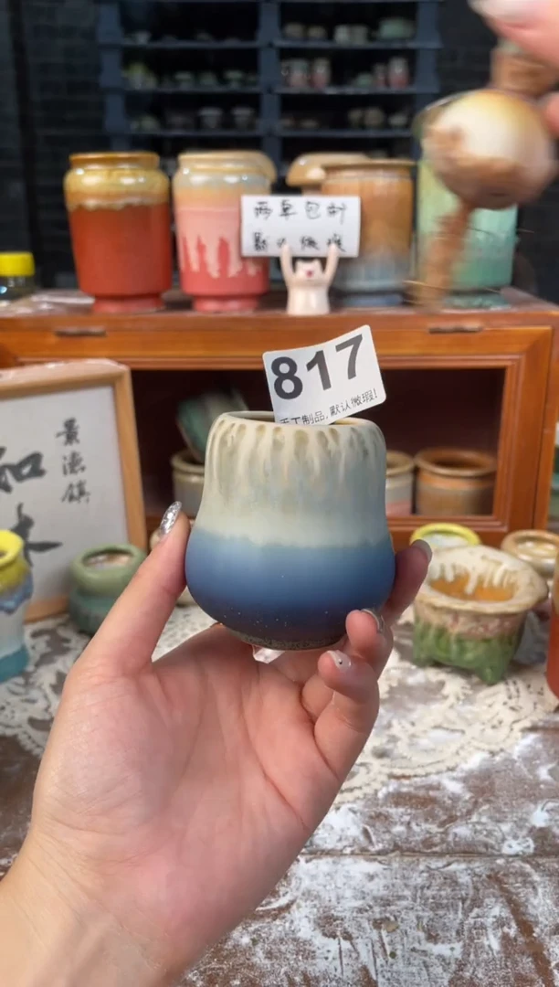 瓷片816知木小芳花盆编号