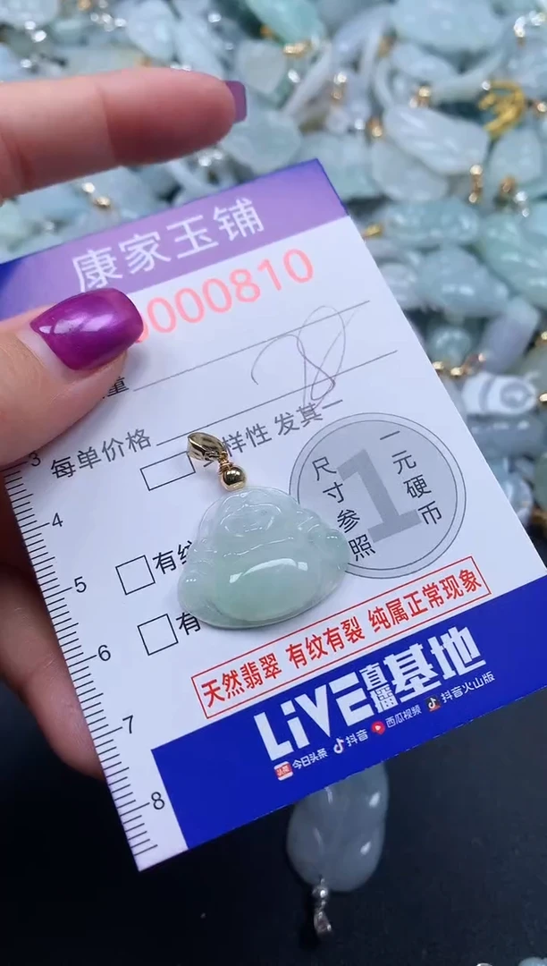 颈饰未镶嵌翡翠810