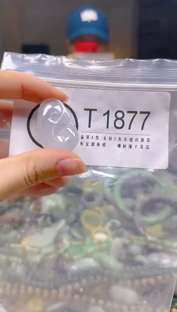 翡翠未镶嵌颈饰/T/翡翠A货一图一物