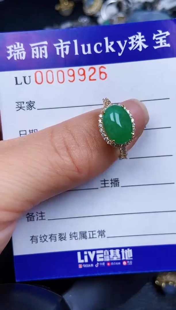 翡翠银S925镶嵌颈饰9926