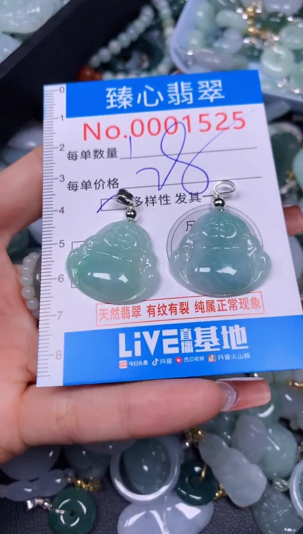 【闪购商品】翡翠颈饰未镶嵌多样性发其一1525