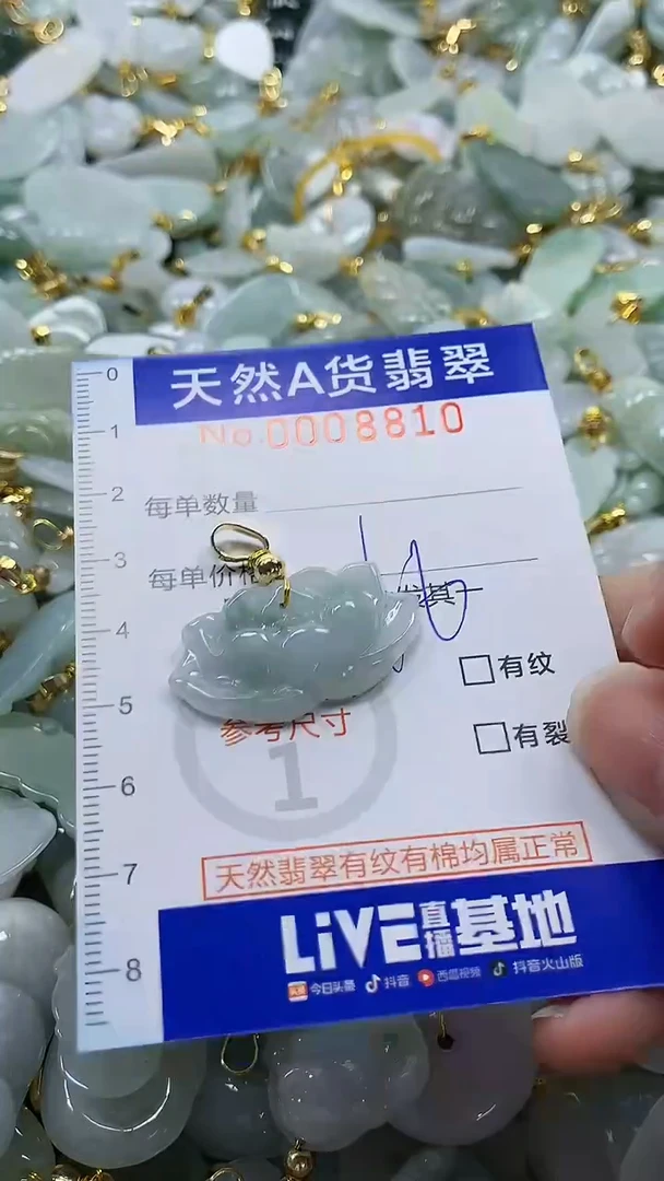 颈饰未镶嵌翡翠纯天然a货翡翠
