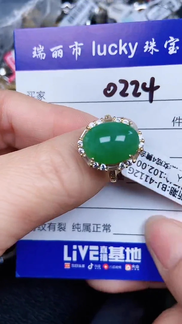 颈饰银S925镶嵌翡翠0224