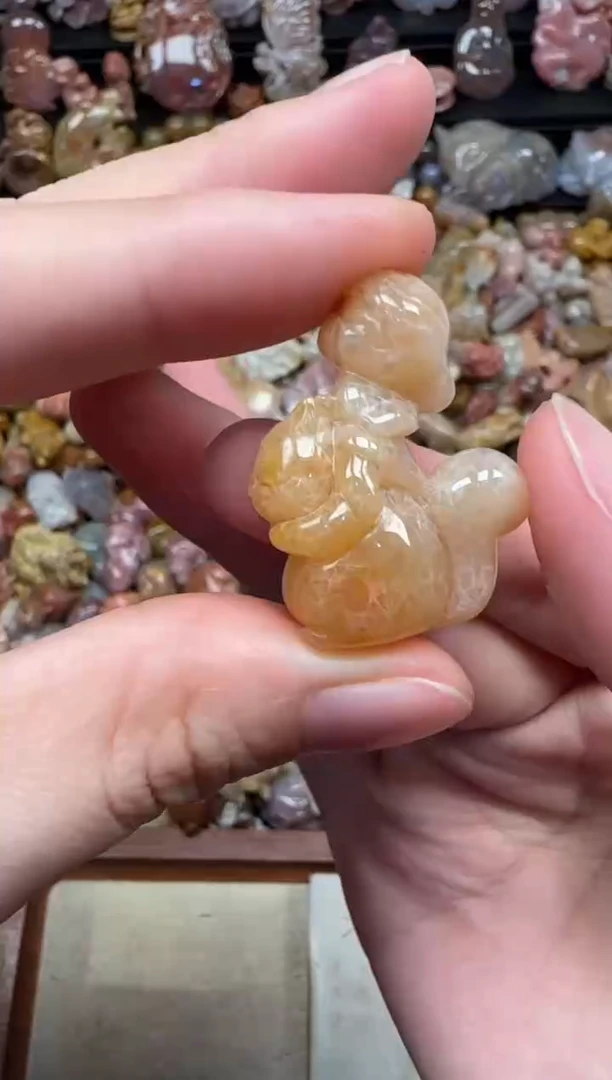 颈饰未镶嵌硅化珊瑚（珊瑚玉）685