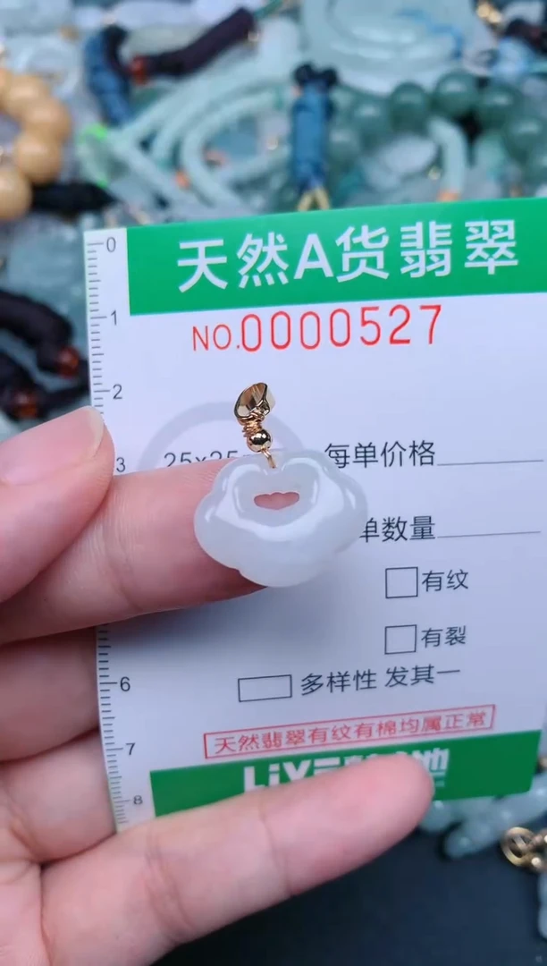 翡翠未镶嵌颈饰.0000527