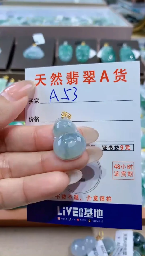 颈饰未镶嵌翡翠天然缅甸翡翠A货挂件