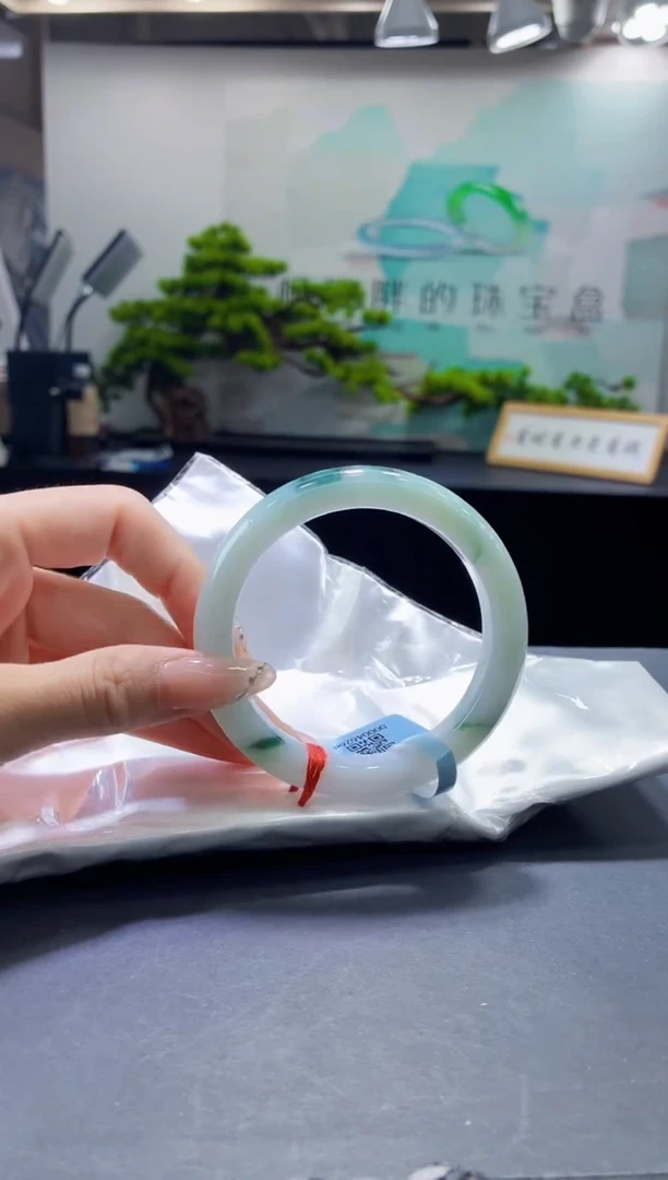 未镶嵌手镯翡翠9