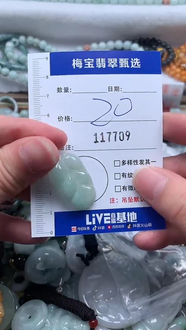 颈饰未镶嵌翡翠1