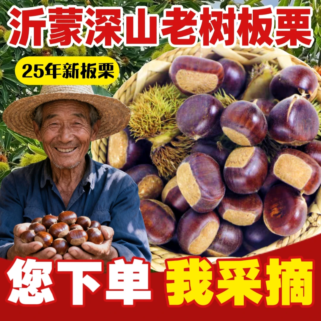 【现摘现发】沂蒙山新鲜板栗!糖炒栗子原料 香甜软糯 坏果包赔!