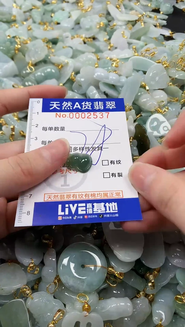 颈饰未镶嵌翡翠纯天然a货翡翠