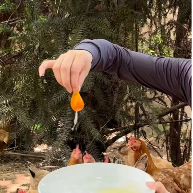 四川农家土鸡蛋散养鸡蛋