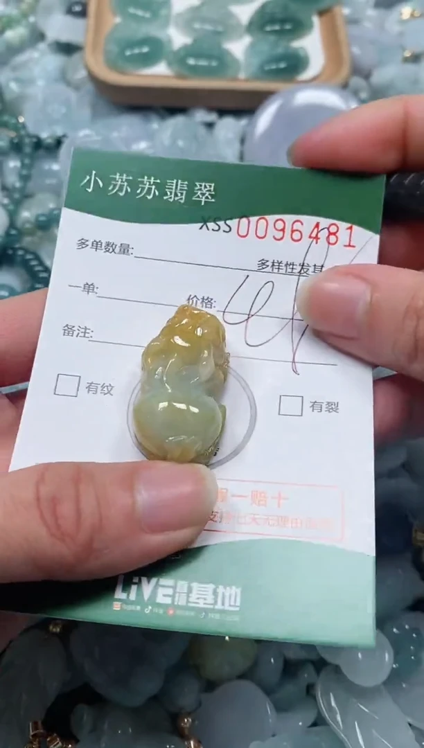 【闪购商品】翡翠颈饰未镶嵌闪购商品0096481