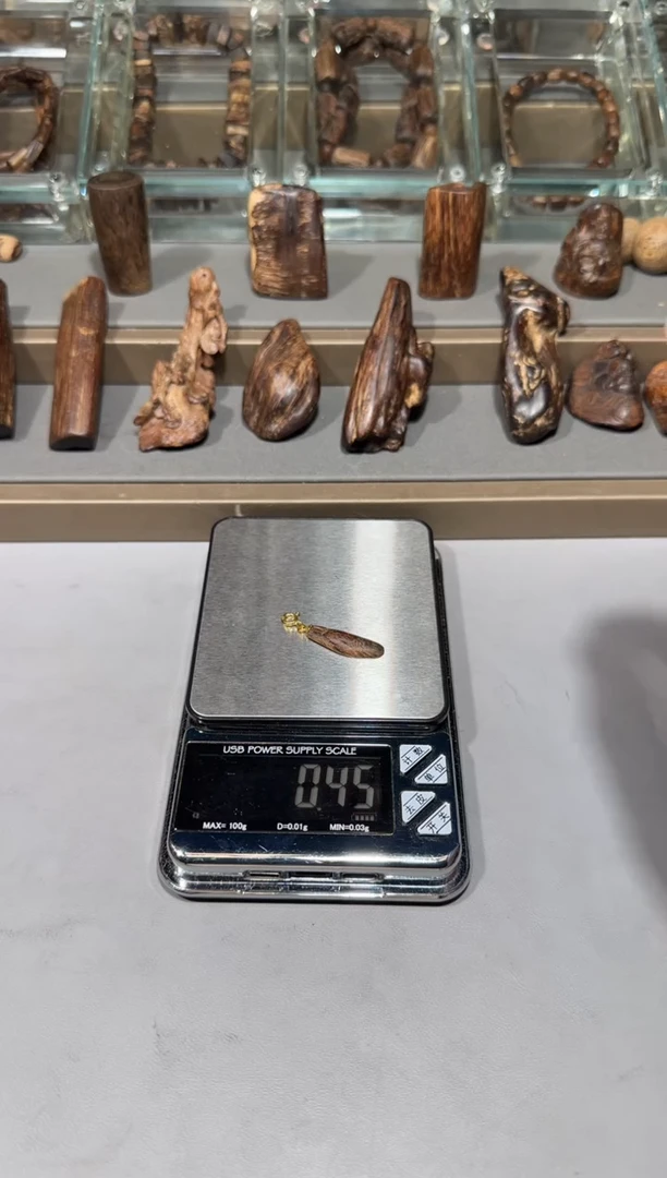 文莱文莱文莱文莱文莱