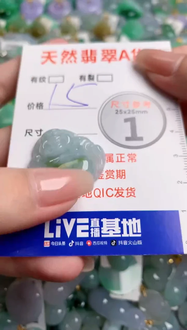 翡翠未镶嵌颈饰24000586