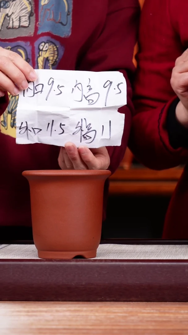 【闪购商品】紫砂花盆清水泥迷你小金钟一只无托