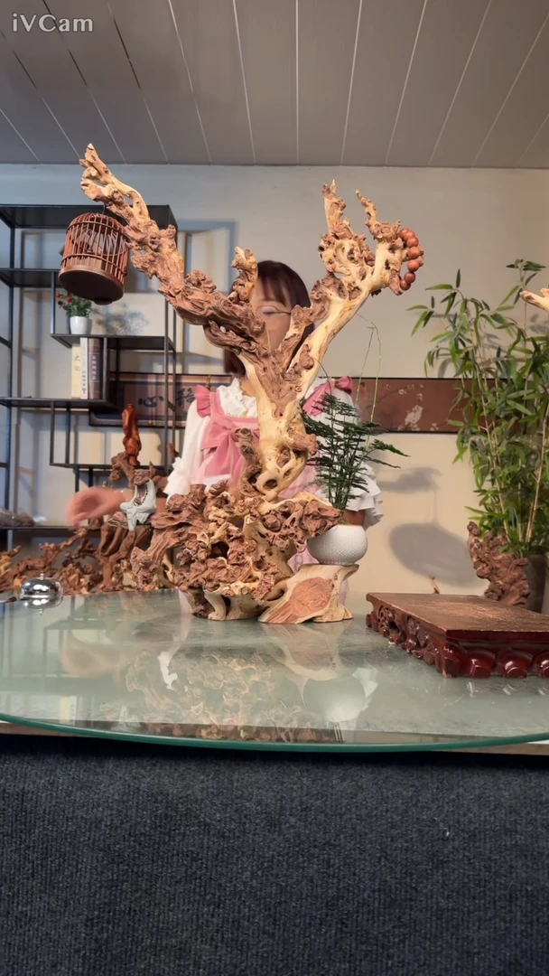 M****店金丝红木红木762