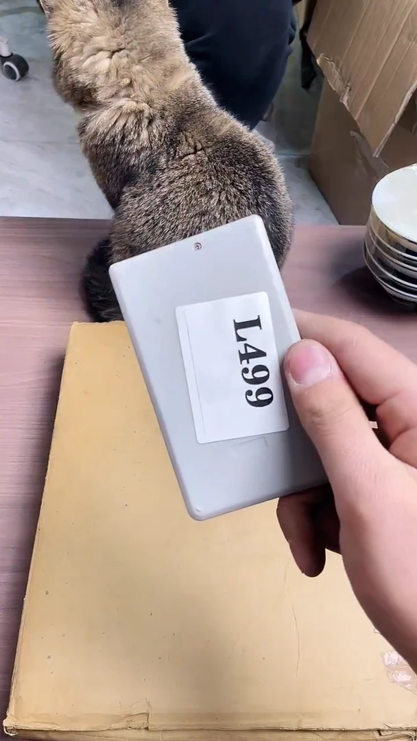 瓷片韵*默认微瑕回流古瓷499