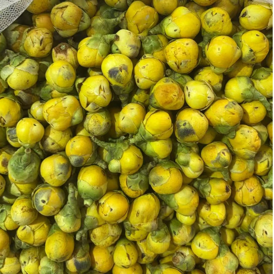 鲜采冻干金花茶花苞肥厚饱满精选花茶