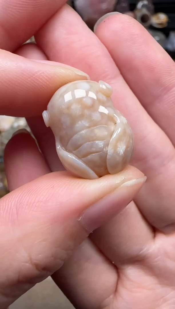 颈饰未镶嵌硅化珊瑚（珊瑚玉）783